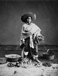 Native of Mexico